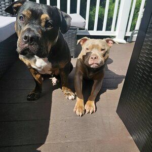 Meet your Posher, Gigi